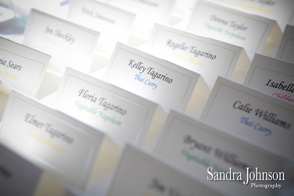 Best Don Cesar Wedding photographer - Sandra Johnson (SJFoto.com)